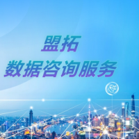 盟拓数据咨询服务