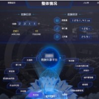 长河数据治理服务