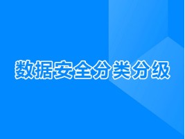 数据安全分类分级服务