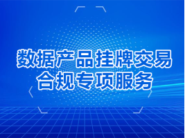 数据产品挂牌交易合规专项服务